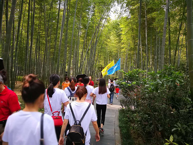 1537254428113551.jpg 1537254428113551.jpg